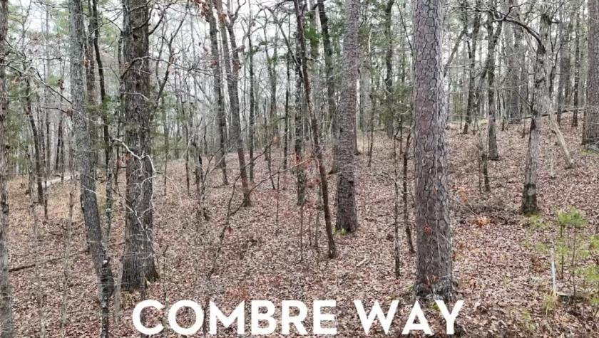 0.28 Acres for Sale in Hot Springs Village, Arkansas