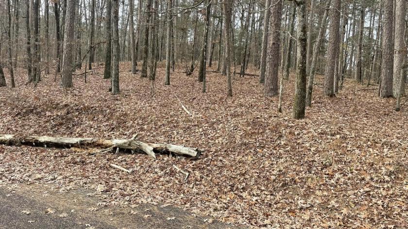 0.23 Acres for Sale in Hot Springs Village, Arkansas