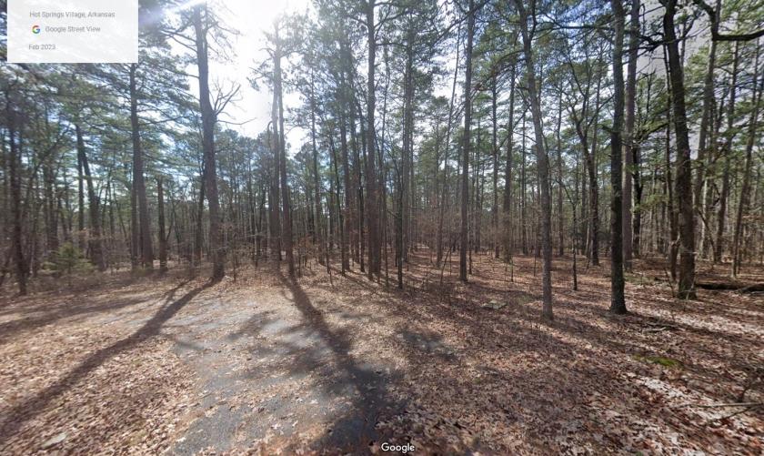 0.27 Acres for Sale in Hot Springs Village, Arkansas