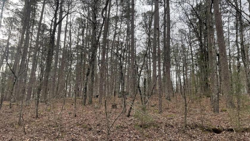 0.28 Acres for Sale in Hot Springs Village, Arkansas