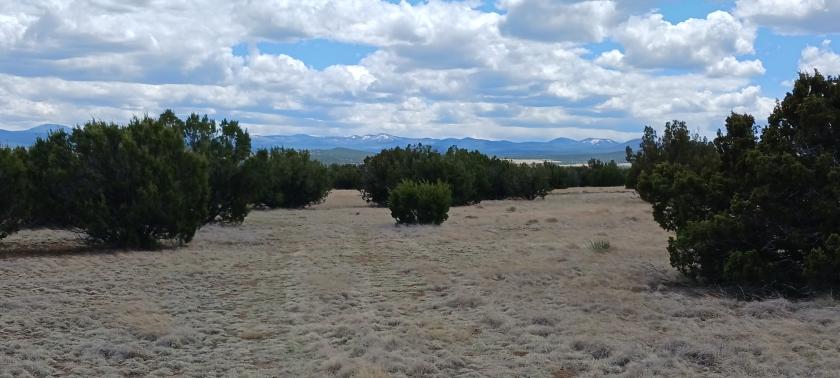 1.06 Acres for Sale in Concho, Arizona