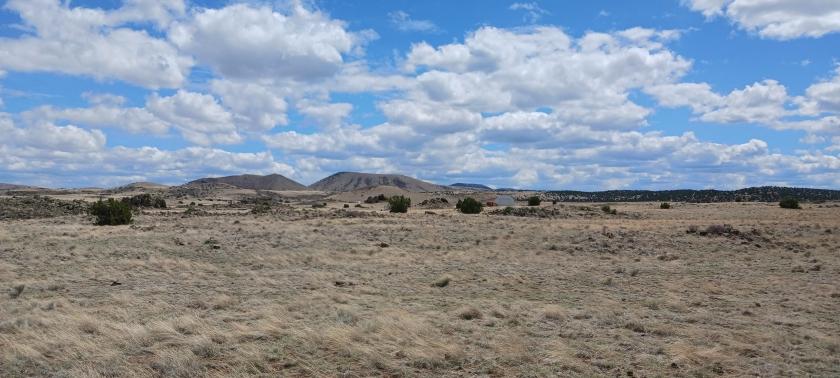 1 Acres for Sale in Concho, Arizona