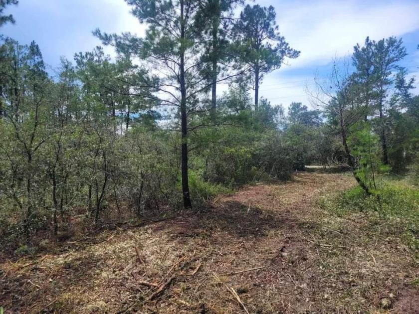 1.2 Acres for Sale in Defuniak Springs, Florida