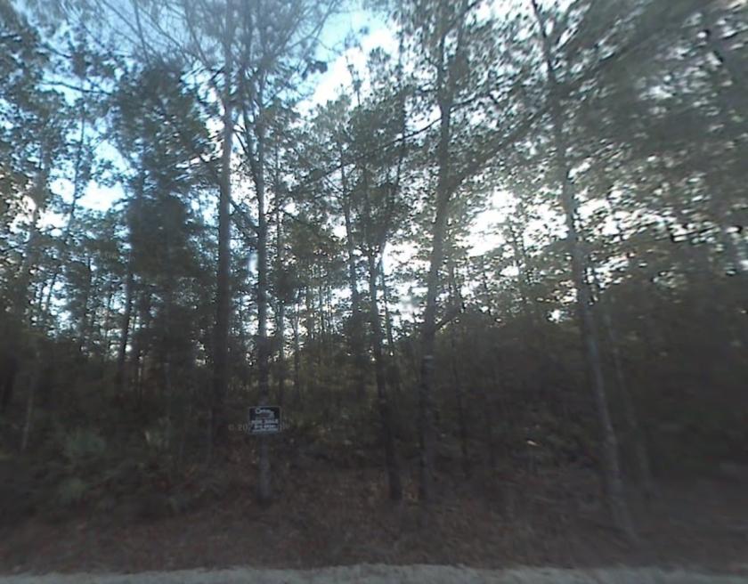 0.31 Acres for Sale in Fountain, Florida