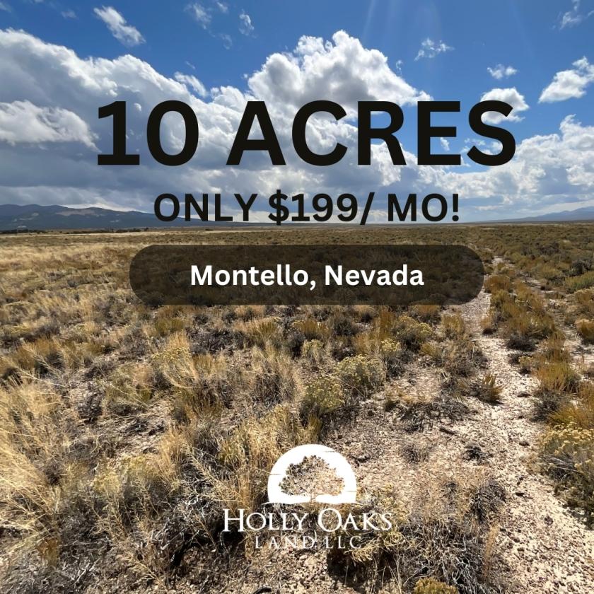 10 Acres for Sale in Montello, Nevada