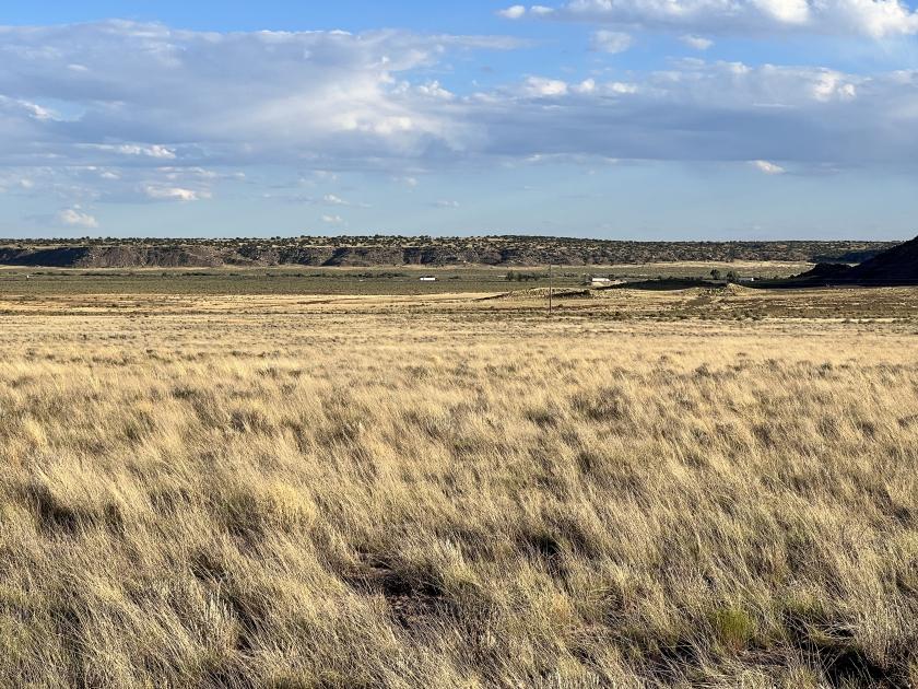 3 Acres for Sale in Sanders, Arizona