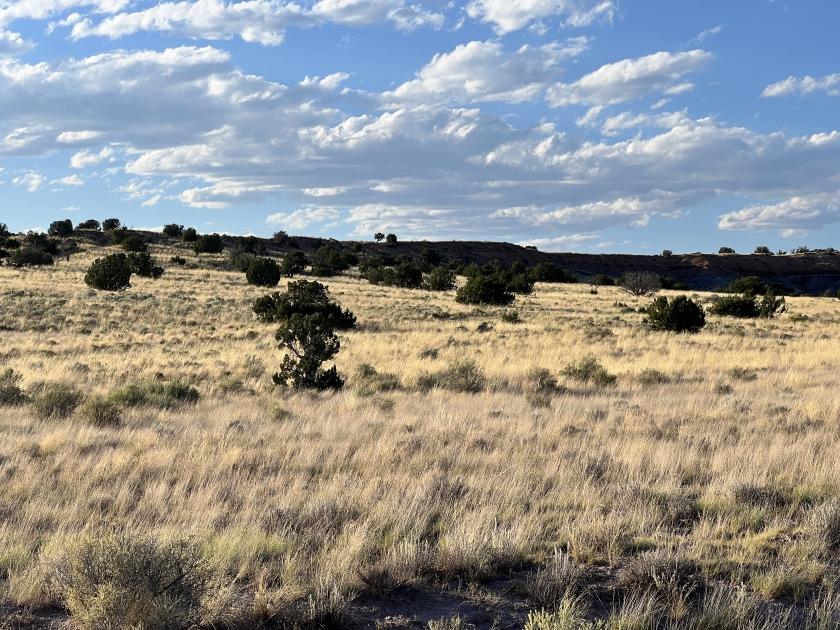 2 Acres for Sale in Sanders, Arizona
