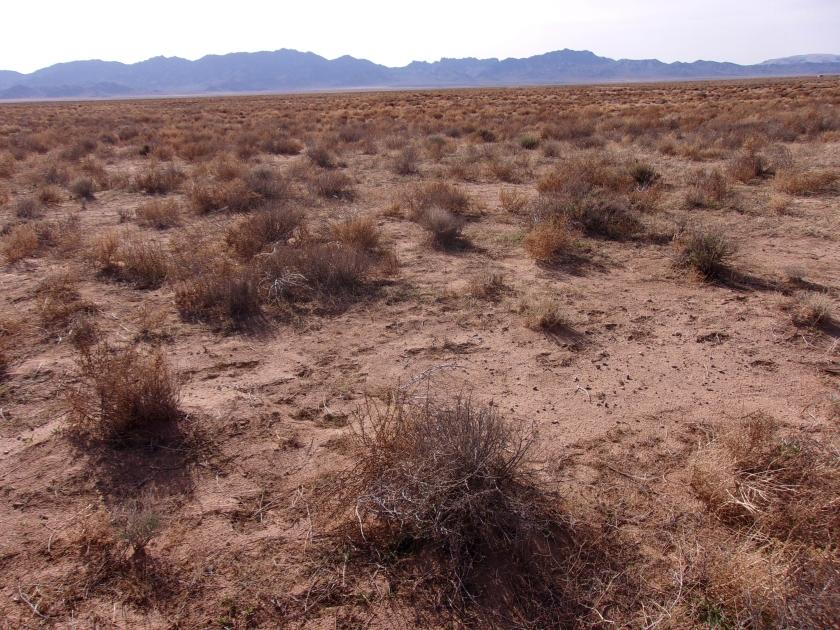 1.25 Acres for Sale in Kingman, Arizona