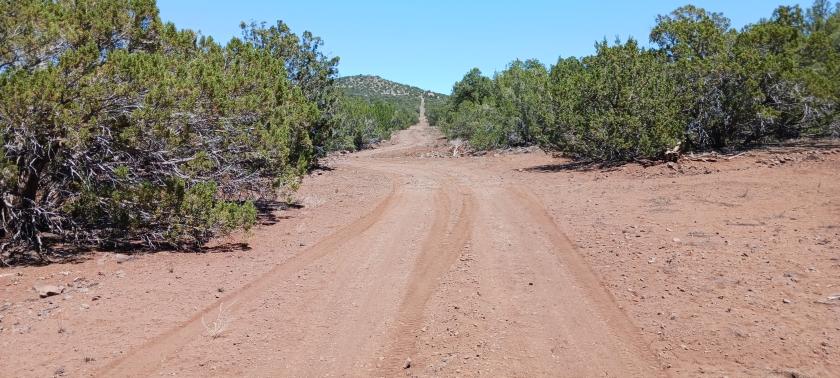 1.17 Acres for Sale in Concho, Arizona
