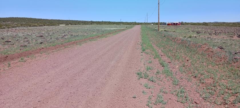 1.17 Acres for Sale in Concho, Arizona