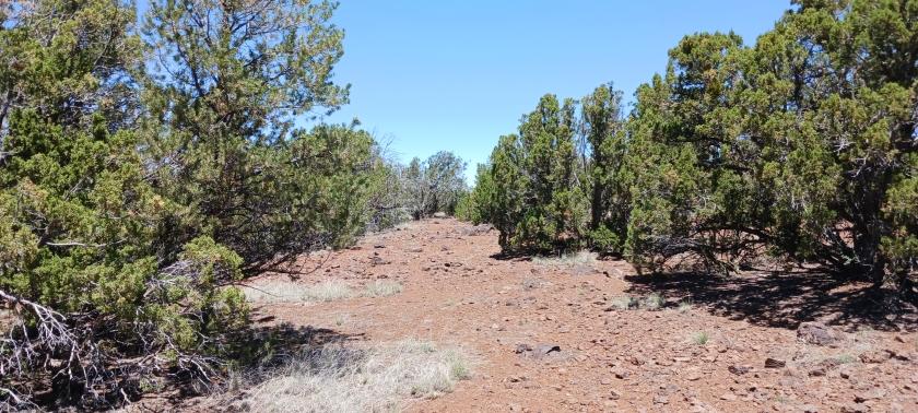 1.16 Acres for Sale in Concho, Arizona