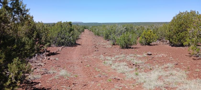 2.32 Acres for Sale in Concho, Arizona