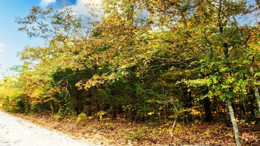 0.25 Acres for Sale in Horseshoe Bend, Arkansas