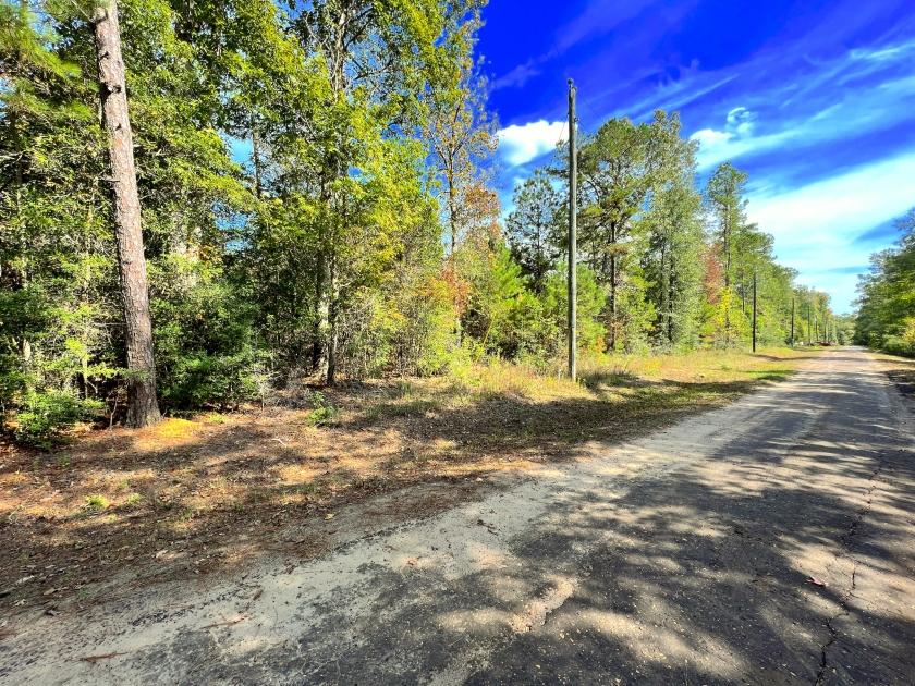 0.2 Acres for Sale in Woodville, Texas