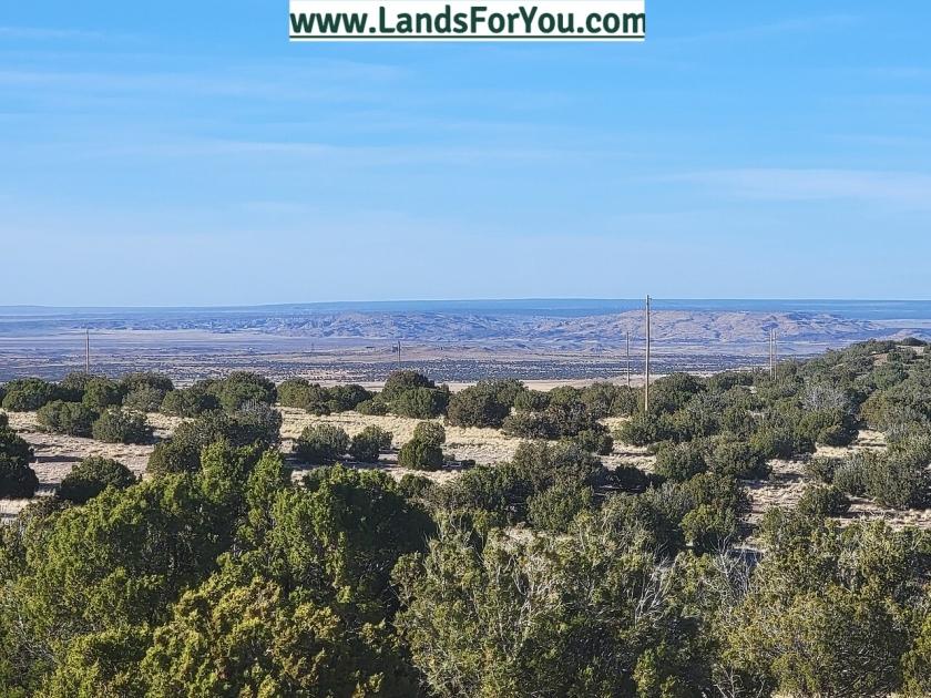 1.04 Acres for Sale in Concho, Arizona