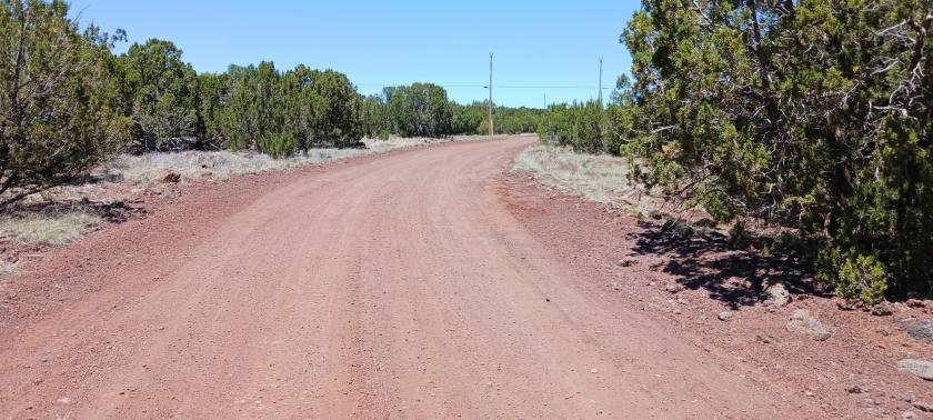 1.19 Acres for Sale in Concho, Arizona