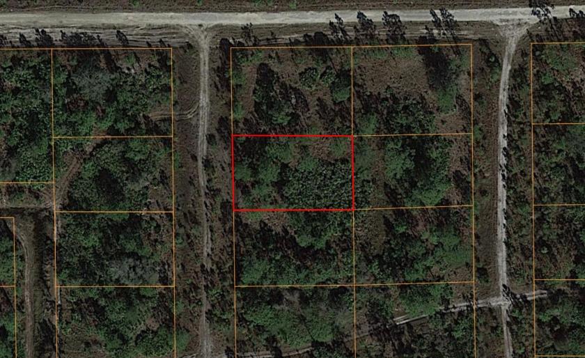 0.2 Acres for Sale in Alva, Florida