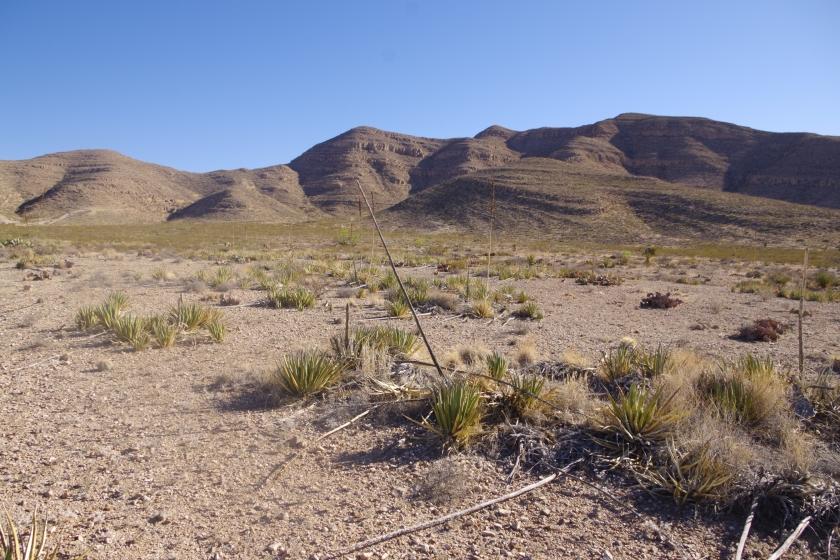 0.41 Acres for Sale in El Paso, Texas