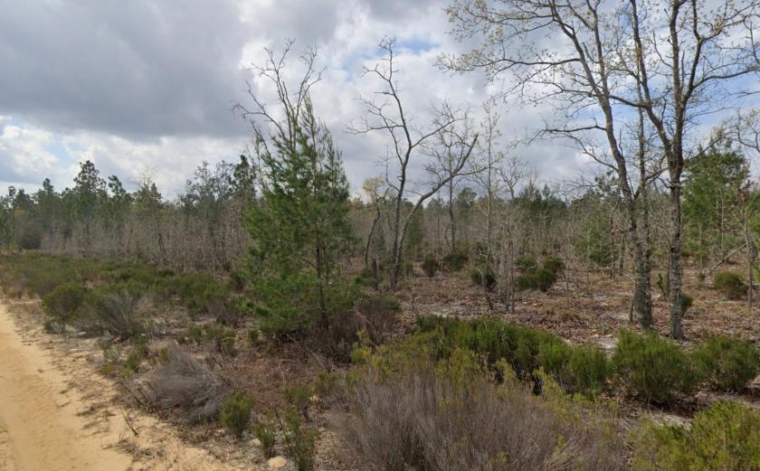 0.44 Acres for Sale in INTERLACHEN, Florida