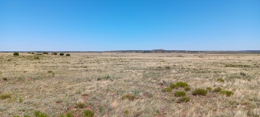 1.01 Acres for Sale in Vernon, Arizona