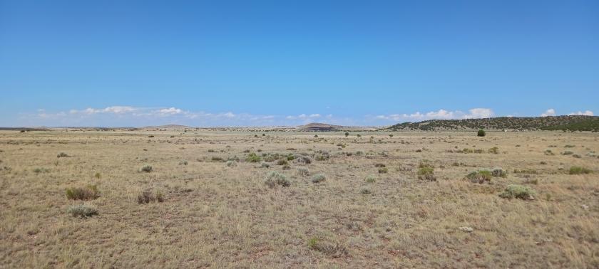 1.03 Acres for Sale in Concho, Arizona