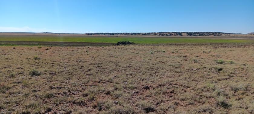 1.09 Acres for Sale in Concho, Arizona