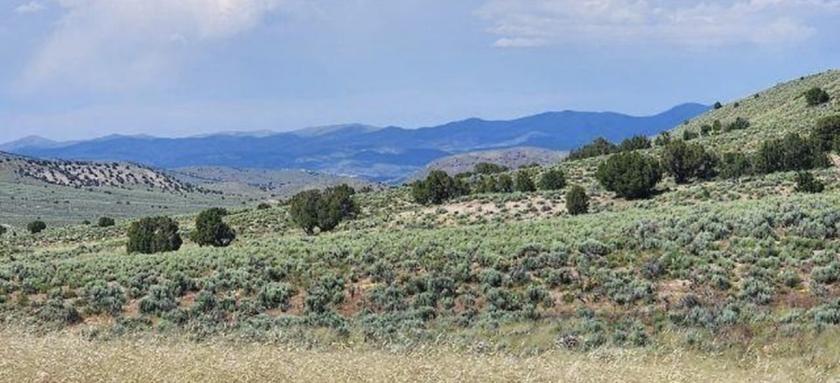 10 Acres for Sale in Montello, Nevada