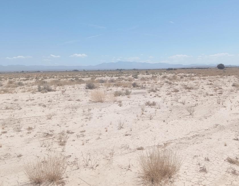 2.5 Acres for Sale in Tecopa, California