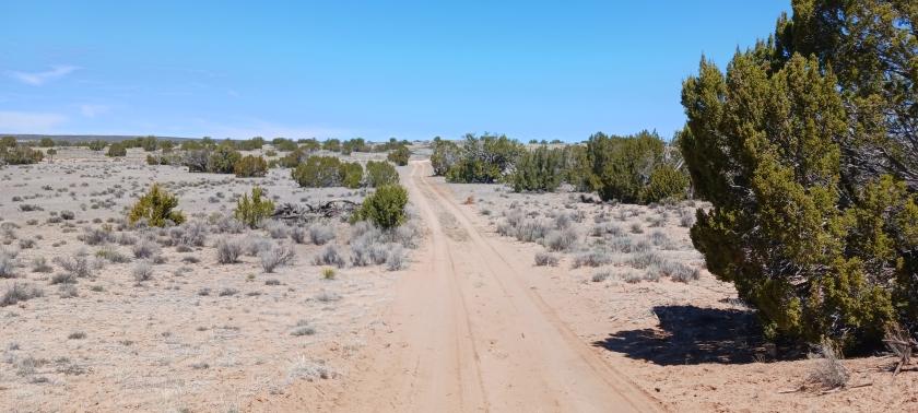 1.25 Acres for Sale in St Johns, Arizona