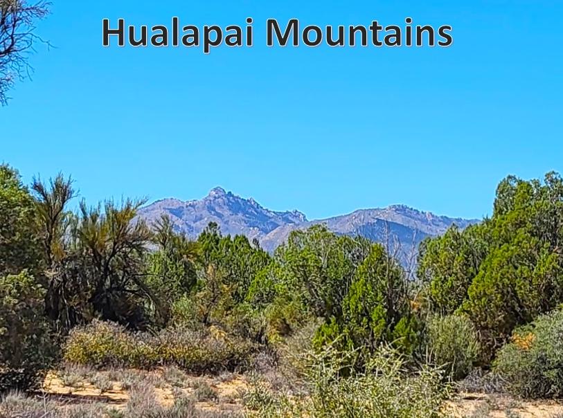 0.2 Acres for Sale in Antares, Arizona