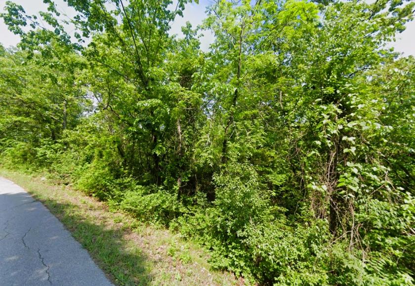 0.22 Acres for Sale in Horseshoe Bend, Arkansas