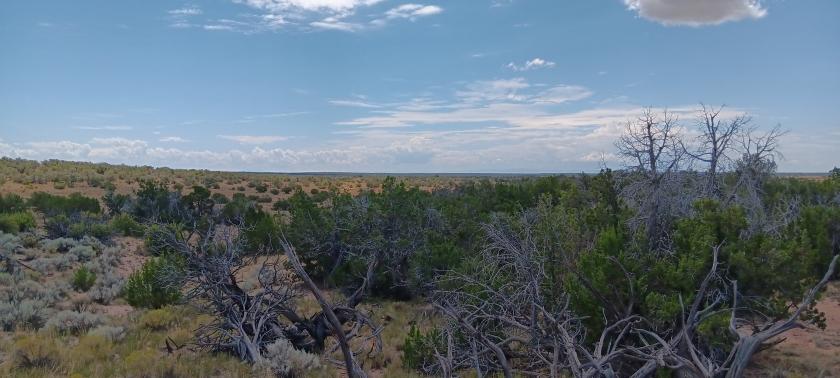 1.24 Acres for Sale in Chambers, Arizona
