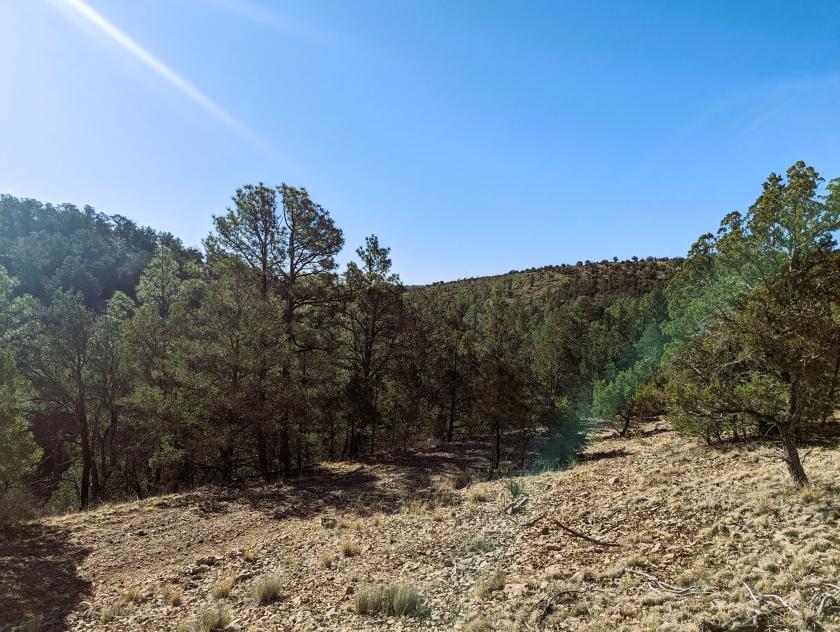 0.55 Acres for Sale in Timberon, New Mexico