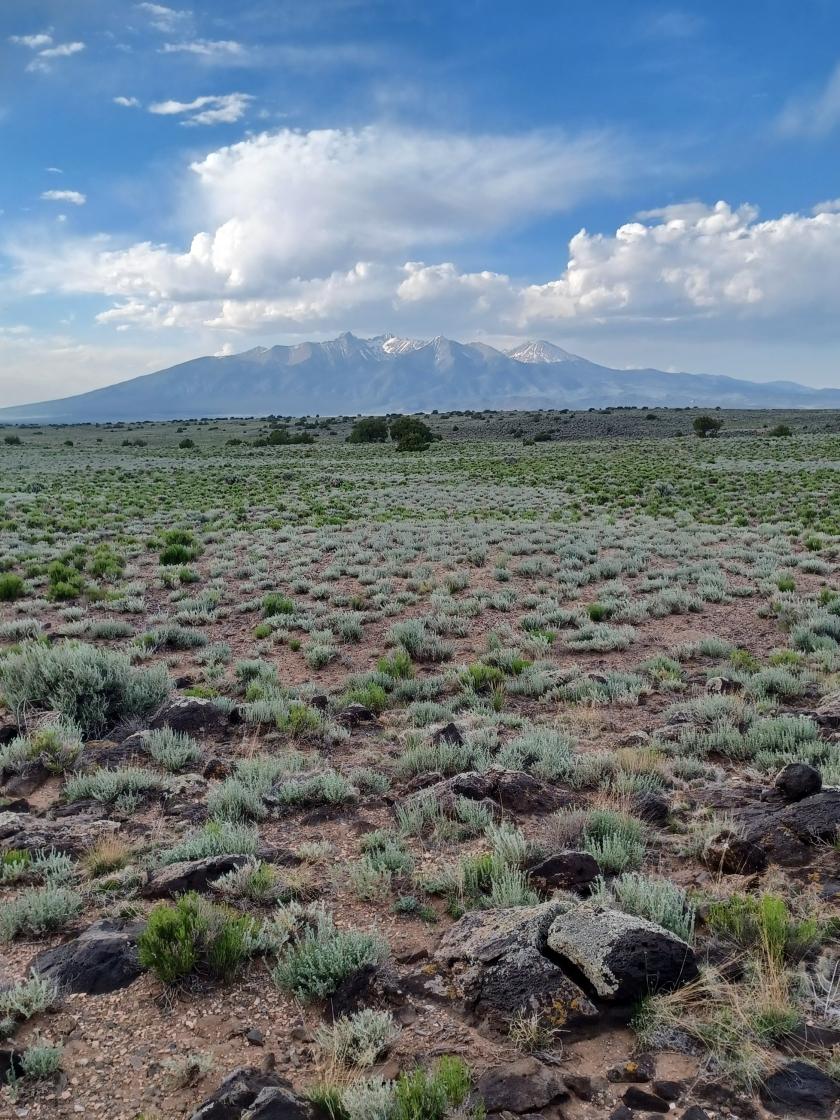 4.6 Acres for Sale in Blanca, Colorado
