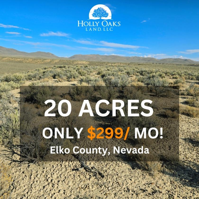 20 Acres for Sale in Elko, Nevada