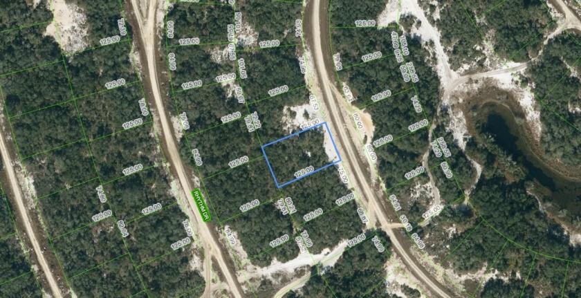 0.22 Acres for Sale in Lake Placid, Florida