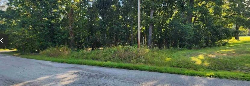0.33 Acres for Sale in Cherokee Village, Arkansas