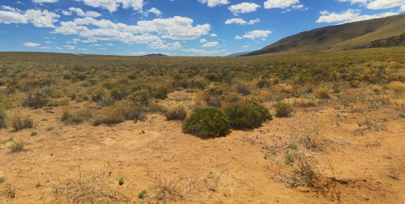 5 Acres for Sale in Mesita, Colorado