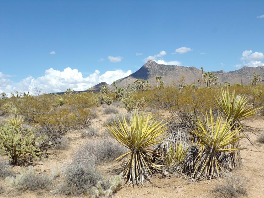 2 Acres for Sale in Meadview, Arizona