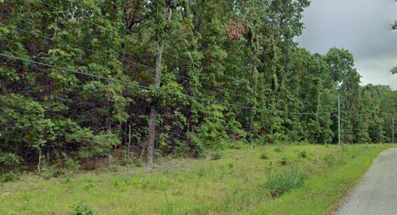0.52 Acres for Sale in Cherokee Village, Arkansas