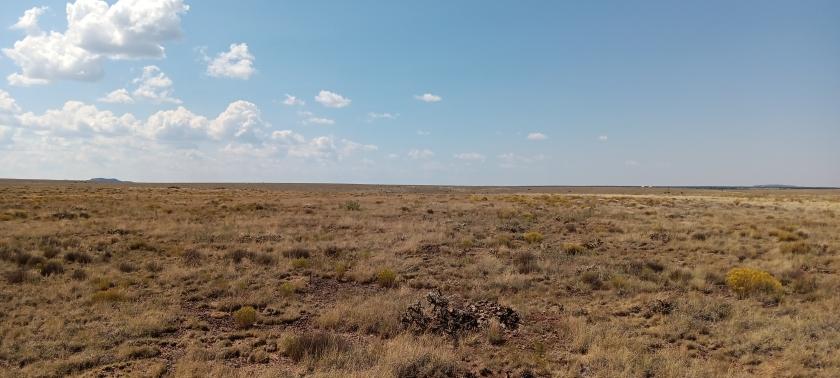 1.01 Acres for Sale in Concho, Arizona