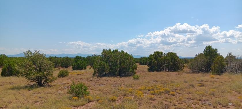 1.03 Acres for Sale in Concho, ARIZONA