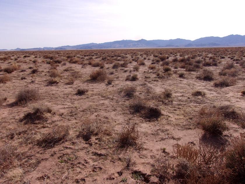1.16 Acres for Sale in Kingman, Arizona