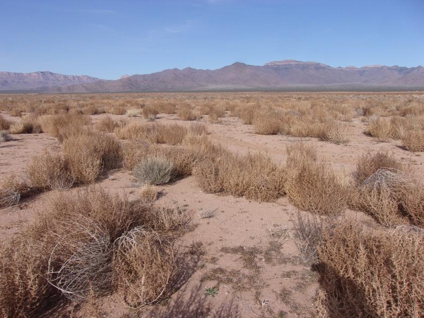 1.26 Acres for Sale in Kingman, Arizona