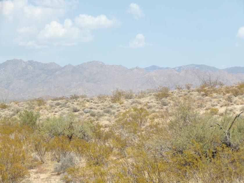 2.35 Acres for Sale in Yucca, Arizona