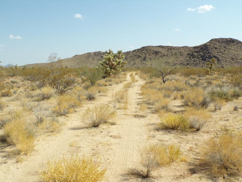 2.35 Acres for Sale in Yucca, Arizona