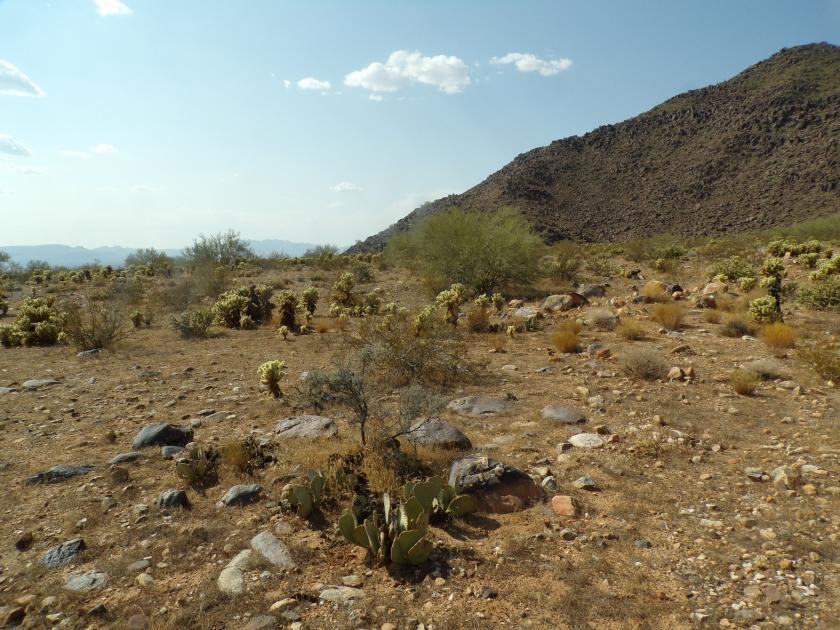 2.35 Acres for Sale in Yucca, Arizona