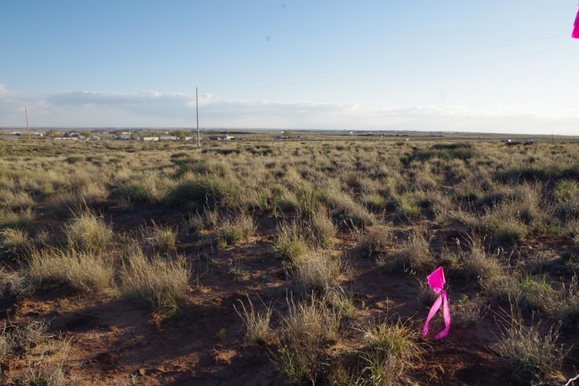 0.26 Acres for Sale in Sun Valley, Arizona