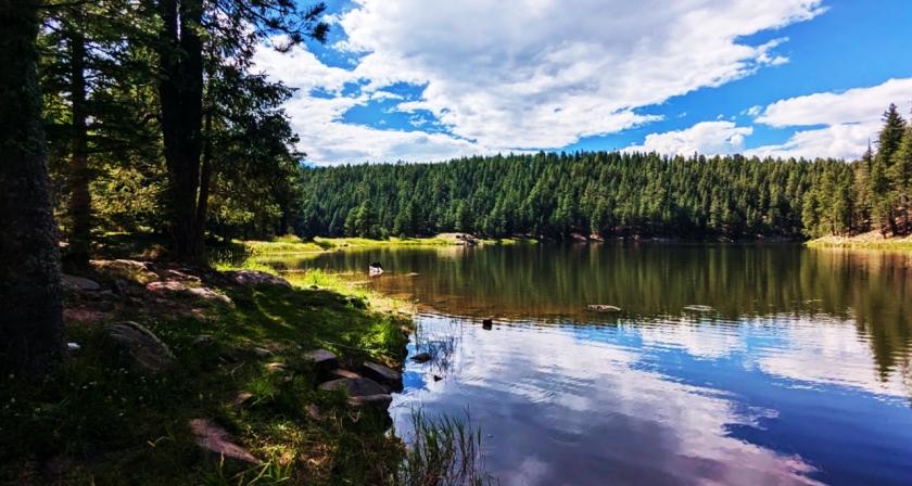 10.00 Acres for Sale in Joseph City, Arizona
