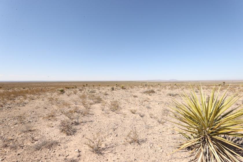 20.1 Acres for Sale in Sierra Blanca, Texas